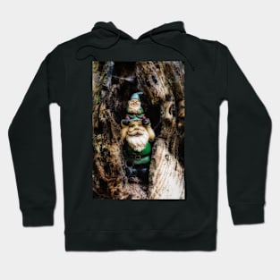 Woodland Gnomes 3 Hoodie